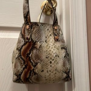 Snakeskin Bag